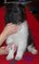Click to view classifieds UJTWDEFG