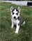 Click to view classifieds JNVGAMWN