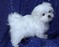 Click to view classifieds YMVTQVRG