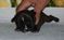 Click to view classifieds ZJQJTGQN