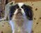 Click to view classifieds XNTPLMJD