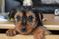 Click to view classifieds QLZZVEWJ