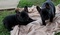 Click to view classifieds NNHCLGXL