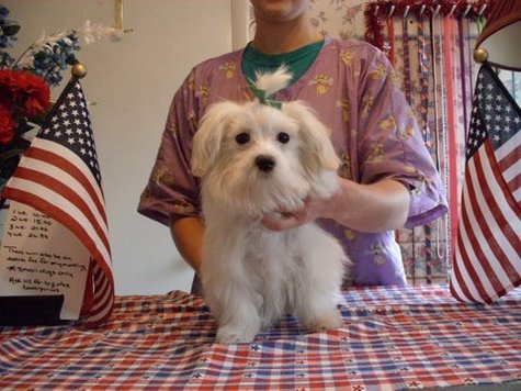 Theodore Photo 1