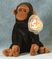 Click to view classifieds SVYMVFQG