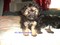 Click to view classifieds JHDYFCYH