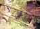Click to view classifieds EPYWDTFV