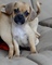 Click to view classifieds NMBQAFLY