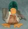 Click to view classifieds QOYOVUGG