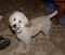 Click to view classifieds VDGYBWJD