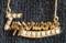 Click to view classifieds XAMAPVEN