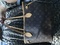 Click to view classifieds CAXVAADS