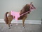 Click to view classifieds OCCEDSFF