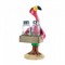 Click to view classifieds GMNECKXB