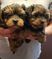 Click to view classifieds NJWSGCBV