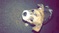Click to view classifieds LMZQRAYX
