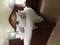 Click to view classifieds GLWCHXTP