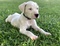 Click to view classifieds CZHCUNOE