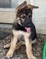 Click to view classifieds BUWOORRC