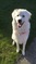 Click to view classifieds BXMPQBKY