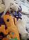 Click to view classifieds QLWJXVNN