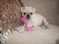 Click to view classifieds RXKATRJQ
