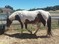 Click to view classifieds AQTSNRGV