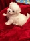 Click to view classifieds MEKGWDHK