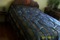 Click to view classifieds TKHFCYEC