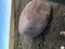 Click to view classifieds WWQJQWGX