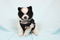Click to view classifieds MVOGNRPF