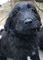 Click to view classifieds PLFZPYQN