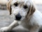 Click to view classifieds LZQEACAB