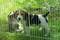 Click to view classifieds UCAWOXAC