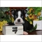 Click to view classifieds TUUEPYEU