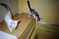 Click to view classifieds GXMJKEGC