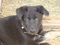 Click to view classifieds RBKOKDSX