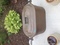 Click to view classifieds AMNKGPYL