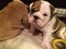 Click to view classifieds BGDTQZUF