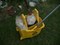 Click to view classifieds PHSROGOU