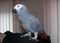 Click to view classifieds FZYWWAQR