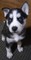Click to view classifieds GJZHDADY