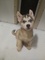 Click to view classifieds PPUZSFYZ