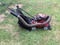 Click to view classifieds SHCYDSQP
