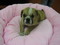 Click to view classifieds GYENLOEU
