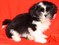 Click to view classifieds MQOKGHEB