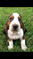 Click to view classifieds ECFUYKTO