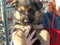 Click to view classifieds NGKLRRUE