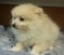 Click to view classifieds BMWEBWPO