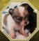 Click to view classifieds GPEWJAZW